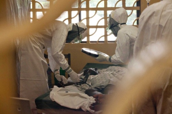 6 nguy cơ đe dọa sức khỏe toàn cầu đến từ virus, vi khuẩn - 1 Sự bùng phát dịch cúm toàn cầu trong tương lai chỉ là vấn đề thời gian (Ảnh internet)