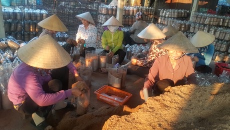 Nam Định: Mỗi năm kiếm hơn nửa tỷ đồng nhờ trồng nấm sạch - 4 Nam Định: Mỗi năm kiếm hơn nửa tỷ đồng nhờ trồng nấm sạch - 4