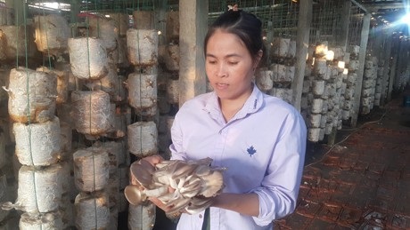 Nam Định: Mỗi năm kiếm hơn nửa tỷ đồng nhờ trồng nấm sạch - 1 Chị Nguyễn Thị Huệ giới thiệu về mô hình trồng nấm bào ngư của gia đình.