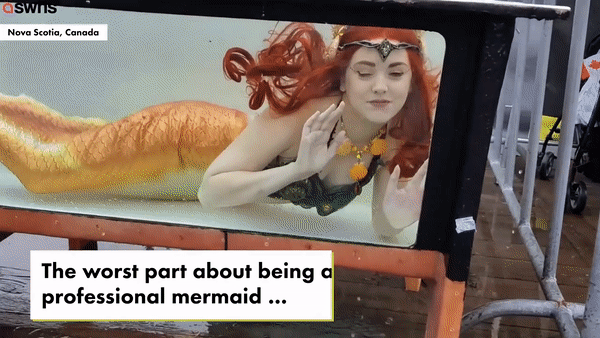 Nàng tiên cá xinh đẹp làm việc tại một thủy cung ở Canada