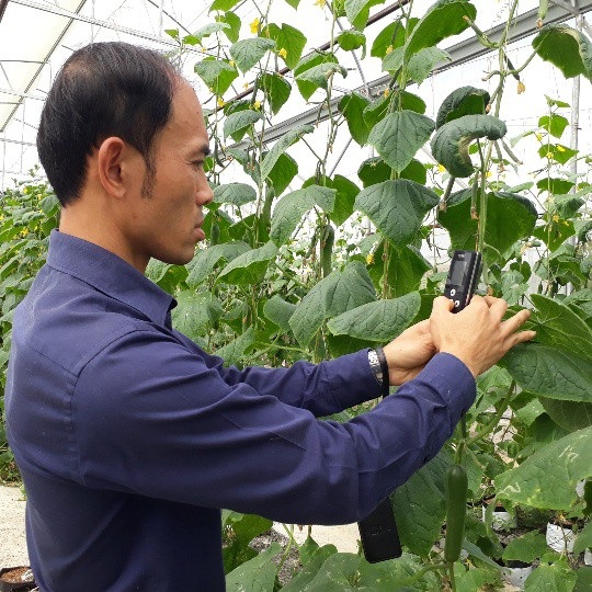 Kỹ sư bỏ việc nhà nước về trồng rau thủy canh, lãi 60 triệu/tháng - 5 Anh Sơn sử dụng máy đo, kiểm tra dinh dưỡng của cây rau mỗi ngày