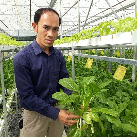 Kỹ sư bỏ việc nhà nước về trồng rau thủy canh, lãi 60 triệu/tháng - 6 Anh Sơn bỏ nghề kỹ sư giao thông, quay ngang sang làm nông nghiệp