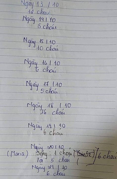 Lần nào cũng thế, trước khi chôn cất các bé bạc mệnh, Hùng đều đánh số, đặt tên và ghi chép cẩn thận.