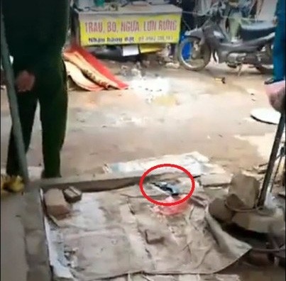 Nghi phạm bắn chết cô gái trẻ giữa chợ đã tử vong - 2 Khẩu súng lực lượng chức năng phát hiện tại hiện trường vụ án mạng.