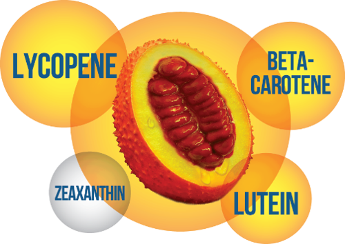 
Quả Gấc với nhiều dưỡng chất quý đã trở thành một “bí kíp” giúp gìn giữ thanh xuân của chị em
