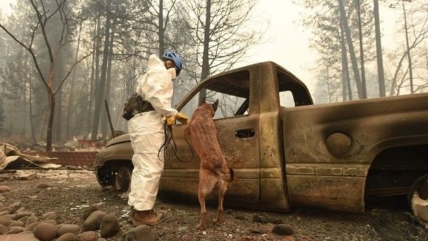 Ông Trump thăm hiện trường vụ cháy rừng khủng khiếp nhất lịch sử California - 8
Hiện lực lượng cứu hộ vẫn ra sức tìm kiếm các nạn nhân trong vụ cháy rừng trong khi các đám cháy vẫn âm ỉ. (Ảnh: AFP)