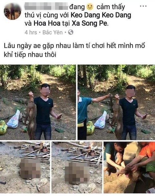 Công an làm việc với thanh niên khoe ảnh giết khỉ hoang dã trên Facebook - 1 Hình ảnh nam thanh niên khoe ảnh giết khỉ hoang dã được đăng trên Facebook (Ảnh chụp màn hình).