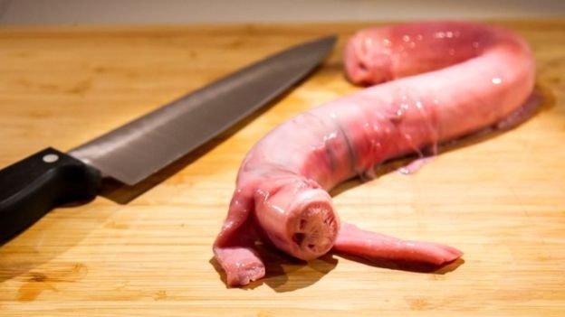 Phô mai giòi, cá mập thối trưng bày ở bảo tàng đồ ăn “kinh dị” khiến du khách “muốn nôn” - 3 Món ăn làm từ bộ phận sinh dục của bò lại được người Trung Quốc ưa chuộng