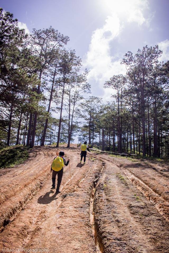 Những đồi cỏ xanh bạt ngàn trên cung đường trekking đẹp nhất Việt Nam - 8 Chinh phục Tà Năng – Phan Dũng không quá khó song đòi hỏi sự bền bỉ, kiên trì. Tổng chiều dài hành trình khoảng 55km và mất khoảng ba ngày hai đêm để chinh phục.