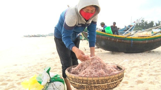 Trúng đậm "lộc biển", ngư dân kiếm tiền triệu mỗi ngày - 4
Ruốc tươi hiện nay được thương lái thu mua với giá từ 10 đến 20 ngàn đồng/kg, còn ruốc khô sẽ có giá từ 60 đến 100 ngàn đồng/kg