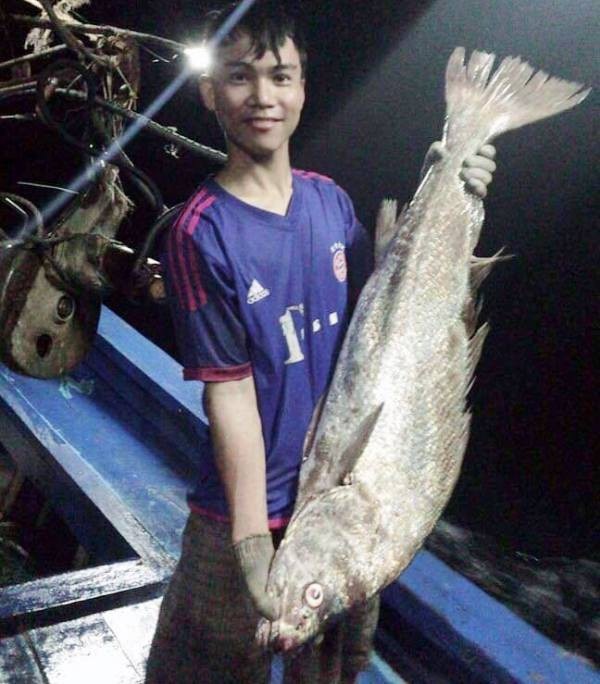 Ngư dân bắt được cá dài hơn 1m, nghi là sủ vàng quý hiếm - Ảnh 1.