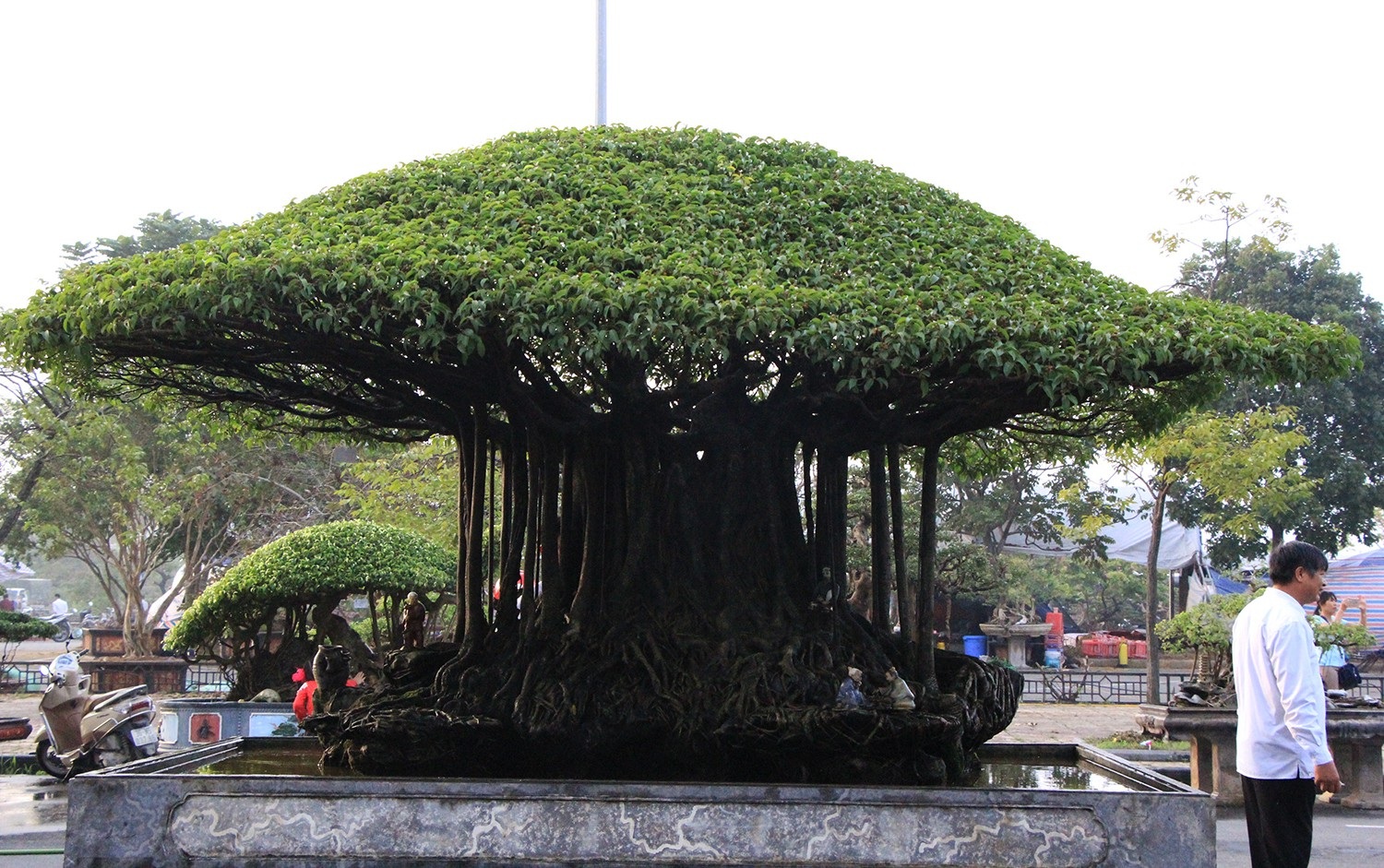 Mãn nhãn với Nhất Tọa Kinh Thiên hơn 100 năm tuổi, giá hơn 5 tỷ đồng - Ảnh 2. Mãn nhãn với Nhất Tọa Kinh Thiên hơn 100 năm tuổi, giá hơn 5 tỷ đồng - Ảnh 2.