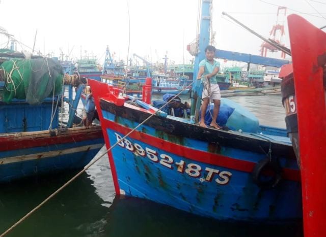 Ngư dân Bình Định chủ động neo đậu tàu thuyền “né” bão số 9 - 1 Ngư dân Bình Định chủ động neo đậu tàu thuyền né bão số 9.