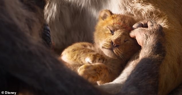 Choáng ngợp trước vẻ đẹp của “phim kinh điển” 2019 - 1
Diện mạo sư tử con Simba lúc mới chào đời có thể “đốn tim” người xem.