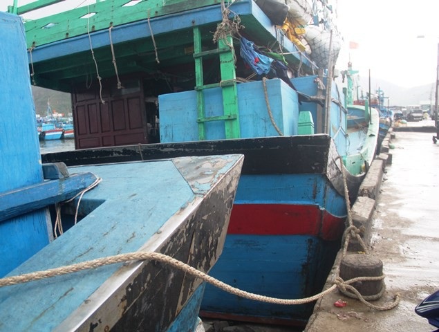 Ngư dân Bình Định chủ động neo đậu tàu thuyền “né” bão số 9 - 3 Các tàu thuyền ngoài khơi vào Cảng cá Quy Nhơn neo đậu và bán thủy sản chạy bão.