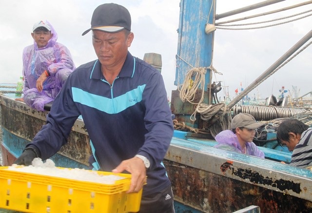 Ngư dân Bình Định chủ động neo đậu tàu thuyền “né” bão số 9 - 5 Ngư dân Bình Định chủ động neo đậu tàu thuyền “né” bão số 9 - 5