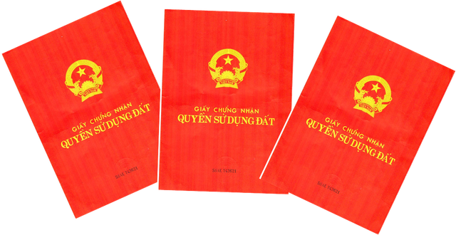 
			Cũng theo UBKT Tỉnh ủy Kiên Giang, Quyết định kỷ luật ông Lâm Tiến Dũng và ông Huỳnh Duy Minh sẽ được công bố vào kỳ họp đầu tháng 12 của Ban Chấp hành Tỉnh ủy Kiên Giang.
			