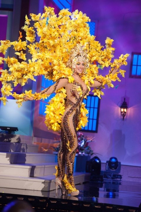 20 bộ trang phục dân tộc lạ kỳ… “hài hước đến khó tin” - 8
Miss Universe 2014 - người đẹp Venezuela