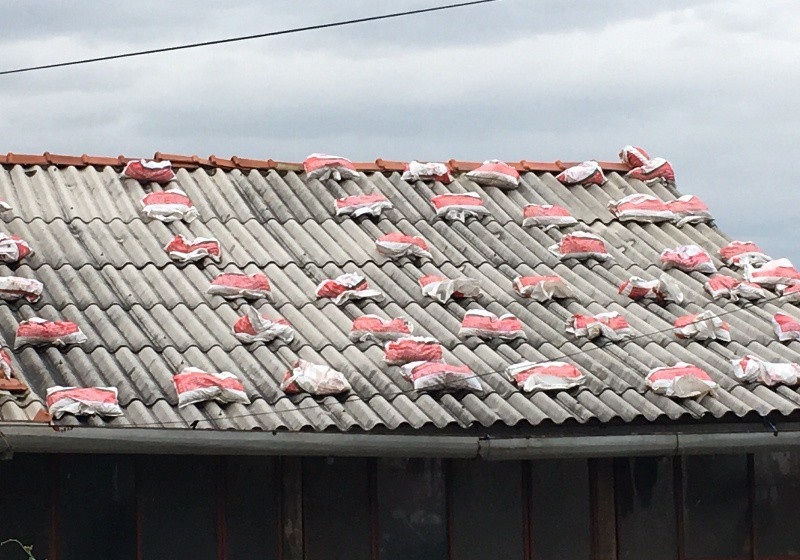 bao 1 bao 1