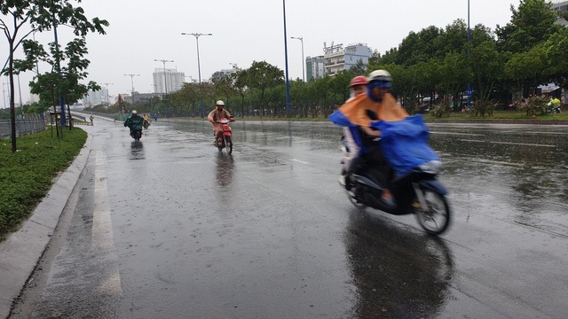Bão số 9 đổ bộ vào đất liền, nhiều cây gãy đổ tại Vũng Tàu - 19 Bão số 9 đổ bộ vào đất liền, nhiều cây gãy đổ tại Vũng Tàu - 19