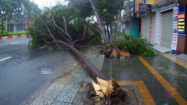 Cô gái “phi” xe vào trụ sở công an lánh nạn và 52 tỷ đồng “vứt không” giữa đồng - 3
9h sáng ngày 25/11, bão số 9 đã áp sát bờ biển từ Bình Thuận đến Bến Tre, trọng tâm là khu vực Vũng Tàu. Dự kiến, trưa nay, bão số 9 sẽ đổ bộ vào đất liền các tỉnh này... Ghi nhận thực tế, đến giữa buổi sáng nay, một số khu vực đã có mưa to.