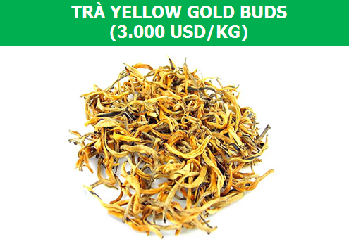 Điểm danh những loại trà chỉ dành cho giới thượng lưu! - 5 Điểm danh những loại trà chỉ dành cho giới thượng lưu! - 5