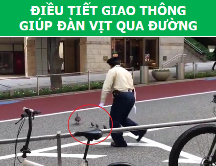 Những "chuyện nhỏ" ở Nhật nhưng khiến cả thế giới ngỡ ngàng - 3 Những "chuyện nhỏ" ở Nhật nhưng khiến cả thế giới ngỡ ngàng - 3