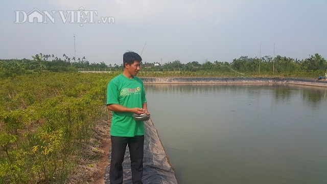 Đã mắt ngắm đàn cá vàng như nghệ, thu trăm triệu/năm - 3
Trong quá trình nuôi cá, anh Trưởng không ngừng học hỏi thêm kinh nghiệm, tham gia vào các lớp tập huấn kiến thức, kỹ thuật nuôi cá trê, cũng như đi thăm quan các mô hình nuôi cá trên cho hiệu quả cao ở trong và ngoài tỉnh.