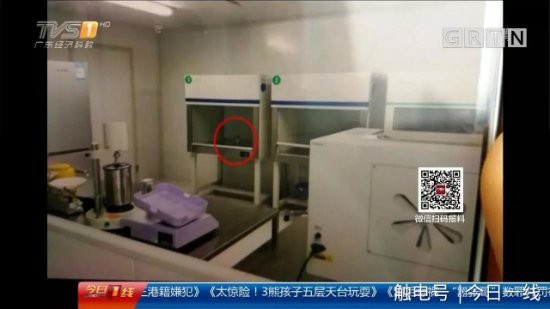 Hình ảnh phòng thí nghiệm cò mồi cung cấp để thụ tinh.