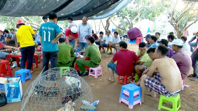 Triệt phá trường gà quy mô lớn vùng ven biển - 1 Hiện trường vụ triệt phá trường gà.