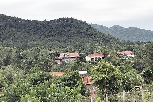 Hà Nội đang thanh tra toàn diện việc sử dụng đất rừng ở xã Minh Phú
