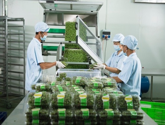 VinEco lọt Top 10 Công ty uy tín ngành thực phẩm - đồ uống 2018 - 7 VinEco lọt Top 10 Công ty uy tín ngành thực phẩm - đồ uống 2018 - 7