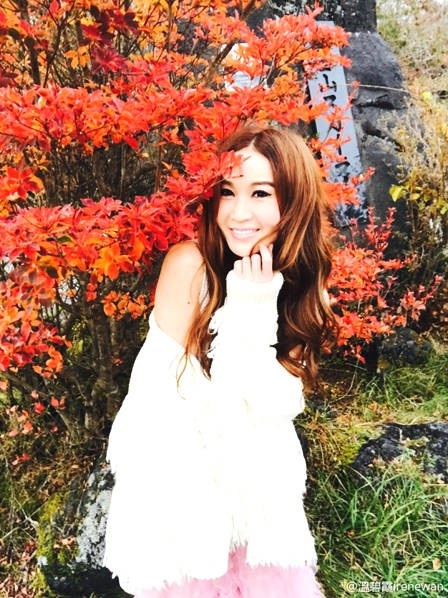 “Bông hồng lửa” Ôn Bích Hà hạnh phúc bên ông xã đại gia dù không sinh con - 4
Ôn Bích Hà kết hôn với doanh nhân người Thượng Hải - Hà Tổ Quang năm 2001 sau 3 năm hẹn hò. Sau 18 năm chung sống, hai người không có con chung mà chỉ nhận con nuôi.