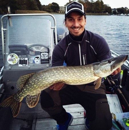 Không chỉ đá bóng giỏi, Zlatan Ibrahimovic còn khiến cho nhiều người phải “kiêng nể” với khả năng câu cá ấn tượng nhường này.