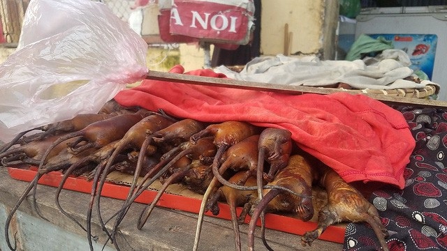 Món ăn Việt gây tranh cãi: Người tấm tắc khen ngon, người vội vã bỏ chạy - 2 Chuột đồng khi chế biến các món ăn có vị ngọt, thơm và béo ngậy rất đưa cơm nhưng lại là món ăn khiến nhiều du khách hoảng sợ khi lần đầu nhìn thấy