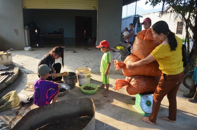 Học sinh miền núi dầm nước bắt cua đồng để kiếm tiền đi học - 6 Sau khi bắt được cua, các em đem bán cho thương lái để lấy tiền phụ giúp cho gia đình và mua sách vở đi học.