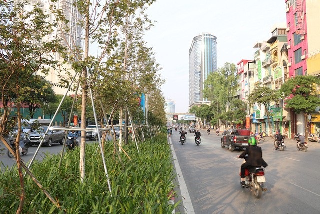 Đường phố Hà Nội thêm phần lãng mạn với hàng phong lá đỏ. (Ảnh: Hà Trang)