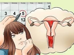 Dấu hiệu nhận biết sớm u xơ tử cung - 1 U xơ tử cung hình thành do nhiều nguyên nhân khác nhau