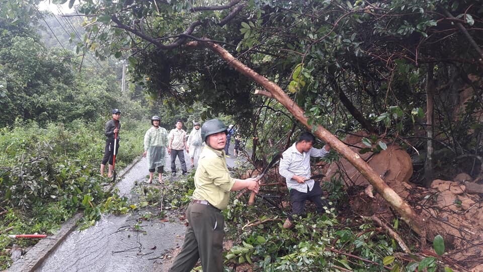 Đà Nẵng: Đường lên bán đảo Sơn Trà sạt lở nghiêm trọng - Ảnh 6. Đà Nẵng: Đường lên bán đảo Sơn Trà sạt lở nghiêm trọng - Ảnh 6.