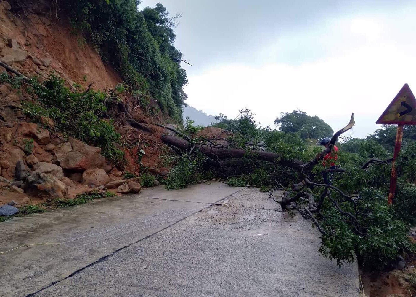 Đà Nẵng: Đường lên bán đảo Sơn Trà sạt lở nghiêm trọng - Ảnh 4. Đà Nẵng: Đường lên bán đảo Sơn Trà sạt lở nghiêm trọng - Ảnh 4.