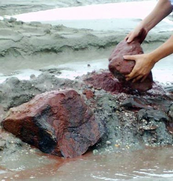 Hà Tĩnh kiến nghị Thủ tướng cho dừng triển khai mỏ sắt lớn nhất ĐNA - Ảnh 3. Hà Tĩnh kiến nghị Thủ tướng cho dừng triển khai mỏ sắt lớn nhất ĐNA - Ảnh 3.