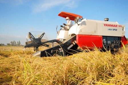 Nhà nông thời hội nhập - 1
Ứng dụng máy móc, công nghệ vào sản xuất nông nghiệp sẽ tạo ra giá trị gia tăng cao( Ảnh: laodong.vn)