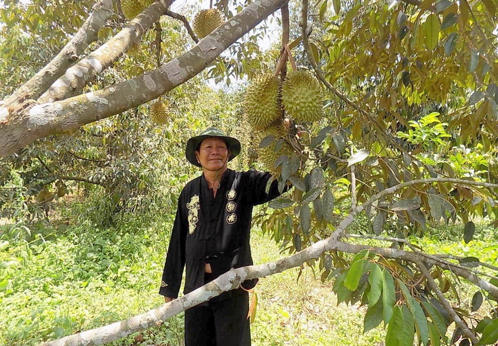  Thời thực phẩm sạch lên ngôi, cửa hàng rau, quả an toàn.... “hốt bạc” - Ảnh 3.