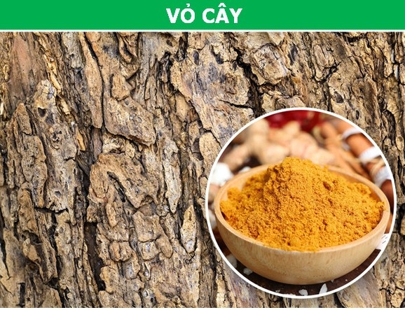Những "thực phẩm" khó tin được con người "xơi" hàng ngày - 1 Những "thực phẩm" khó tin được con người "xơi" hàng ngày - 1
