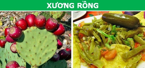Những "thực phẩm" khó tin được con người "xơi" hàng ngày - 2 Những "thực phẩm" khó tin được con người "xơi" hàng ngày - 2