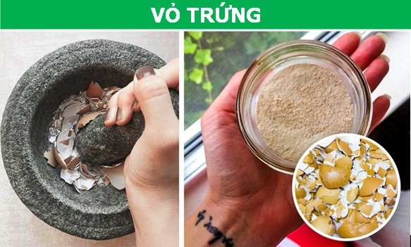 Những "thực phẩm" khó tin được con người "xơi" hàng ngày - 3 Những "thực phẩm" khó tin được con người "xơi" hàng ngày - 3