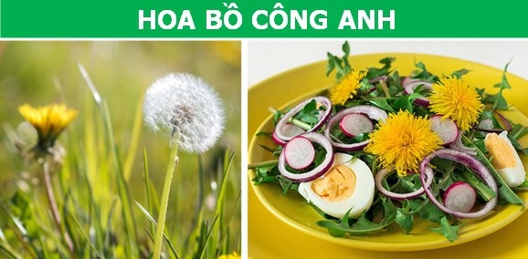 Những "thực phẩm" khó tin được con người "xơi" hàng ngày - 4 Những "thực phẩm" khó tin được con người "xơi" hàng ngày - 4