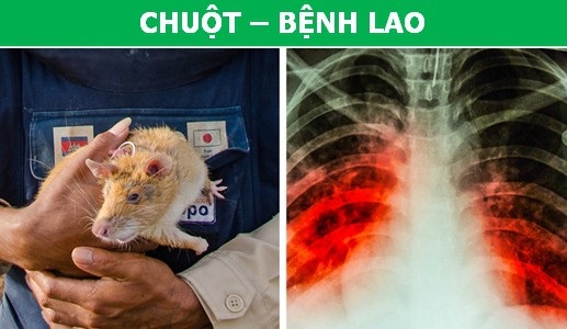 Đố bạn biết giữa bom nguyên tử và hội họa có mối liên quan gì? - 3 Đố bạn biết giữa bom nguyên tử và hội họa có mối liên quan gì? - 3
