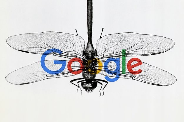 Không chịu nổi áp lực, Google chấm dứt dự án tìm kiếm tại Trung Quốc? - 1 Không chịu nổi áp lực, Google chấm dứt dự án tìm kiếm tại Trung Quốc? - 1