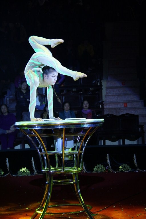 67 nghệ sĩ so tài tại cuộc thi Tài năng diễn viên xiếc toàn quốc 2018 - 1 Cuộc thi Tài năng diễn viên xiếc toàn quốc là cơ hội để nhiều nghệ sĩ thể hiện tài năng.
